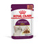 ROYAL CANIN Sensory smell 12x85 g