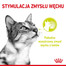 ROYAL CANIN Sensory smell 12x85 g