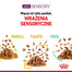 ROYAL CANIN Sensory smell 12x85 g