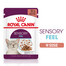 ROYAL CANIN Sensory Feel Katzen-Nassfutter 12x85 g