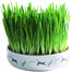 TRIXIE Keramikschale mit Katzengras ø 15 × 4 cm