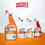 NATURE'S MIRACLE SET-IN OXY Stain&Odour Remover Cat 709 ml