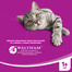 WHISKAS Adult Sterile 14kg