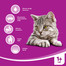 WHISKAS Adult Sterile 14kg