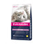 EUKANUBA Katze Kitten Alle Rassen Healthy Start Huhn & Leber 2 kg