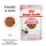 ROYAL CANIN KITTEN Nassfutter in Soße für Kätzchen 24x85g
