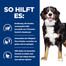HILL'S Prescription Diet Canine Metabolic + Mobility 4 kg