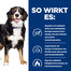 HILL'S Prescription Diet Canine Metabolic + Mobility 12 kg