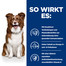 HILL'S Prescription Diet Derm Defense Skin Care mit Huhn 12 kg