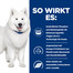 HILL'S Prescription Diet k/d + Mobility Canine 12 kg