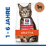 HILL'S Science Plan Feline Adult with Lamb 10kg