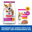 HILL'S  Science Plan Hund Adult Small & Mini Huhn  Hundefutter 6 kg