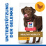 HILL'S Science Plan Canine Adult Healthy Mobility Large breed Chicken 14 kg Futter für Hunde großer Rassen zur Unterstützung der Gelenke