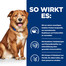 HILL'S Prescription Diet Canine Derm Complete 12 kg Futter zur Stärkung der Hundehaut
