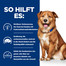 HILL'S Prescription Diet Canine Derm Complete 12 kg Futter zur Stärkung der Hundehaut