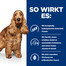 HILL'S Prescription Diet Canine z/d 370 g bei Lebensmittelunverträglichkeiten