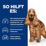HILL'S Dog Prescription Diet Z/D ActivBiome 3 kg