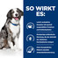 HILL'S Prescription Diet Sensitive i/d Canine mit Ei und Reis 12 kg