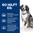 HILL'S Prescription Diet Sensitive i/d Canine mit Ei und Reis 12 kg