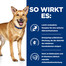 HILL'S Prescription Diet i/d Digestive Care Chicken Dog 12 kg