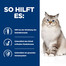 HILL'S Prescription Diet Feline j/d 1,5 kg Katzenfutter zur Unterstützung der Gelenke