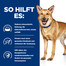 HILL'S Prescription Diet Canine i/d 4 kg Futter für Hunde mit Verdauungsproblemen