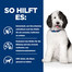 HILL'S Prescription Diet Canine c/d Multicare 1,5 kg Futter für Hunde mit Harnwegserkrankungen