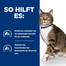 HILL'S Prescription Diet s/d Urinary Care mit Huhn 3 kg