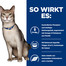 HILL'S Prescription Diet Cat K/D Kidney Care mit Huhn 3 kg