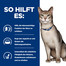 HILL'S Prescription Diet Cat K/D Kidney Care mit Huhn 3 kg