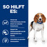 HILL'S Prescription Diet r/d Weight Reduction with Chicken Adult 10 kg