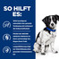 HILL'S Prescription Diet I/D Stress Mini Digestive Care 3 kg