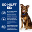 HILL'S Prescription Diet Canine Metabolic 370g Futter für übergewichtige Hunde