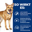 HILL'S Prescription Diet Canine i/d 360g Futter für Hunde mit Verdauungsproblemen
