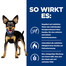 HILL'S Prescription Diet Canine Metabolic Mini 6 kg