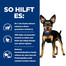 HILL'S Prescription Diet Canine Metabolic Mini 6 kg