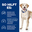 HILL'S Prescription Diet d/d Hundefutter mit Ente und Reis 12 kg