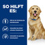 HILL'S Prescription Diet Canine j/d 12 kg