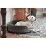 FERA ovales Hundebett mit Kissen 53x44x16 cm grau