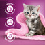 WHISKAS Junior Classic Meals Hähnchen und Rindfleisch in Sauce 4x85g
