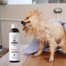 PETS Shampoo Vitamin Shampoo für kurzes Haar 250 ml