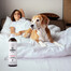 PETS Shampoo Vitamin Shampoo für kurzes Haar 250 ml