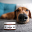 PETS Nose & Paw Balm Nasen- und Pfotenbalsam 75 ml