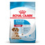 ROYAL CANIN Medium Starter Mother&Babydog 15 kg für trächtige und säugende Hündinnen und Welpen im Alter von 4 bis 8 Wochen, mittelgroße Rassen