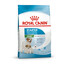 ROYAL CANIN Mini Starter Mother & Babydog 8 kg Trockenfutter für trächtige und säugende Hündinnen und Welpen, von 4 bis 8 Wochen, kleine Rassen