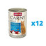 ANIMONDA Carny Adult Rind + Kabeljau mit Petersilienwurzeln 12 x 400 g