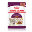 ROYAL CANIN Sensory Taste in Soße 48x85 g