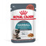 ROYAL CANIN Hairball Care 24x85g