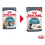 ROYAL CANIN Hairball Care 24x85g