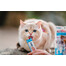 INABA Churu Cat Creme Katzenleckerli Thunfisch und Jakobsmuscheln 56 g